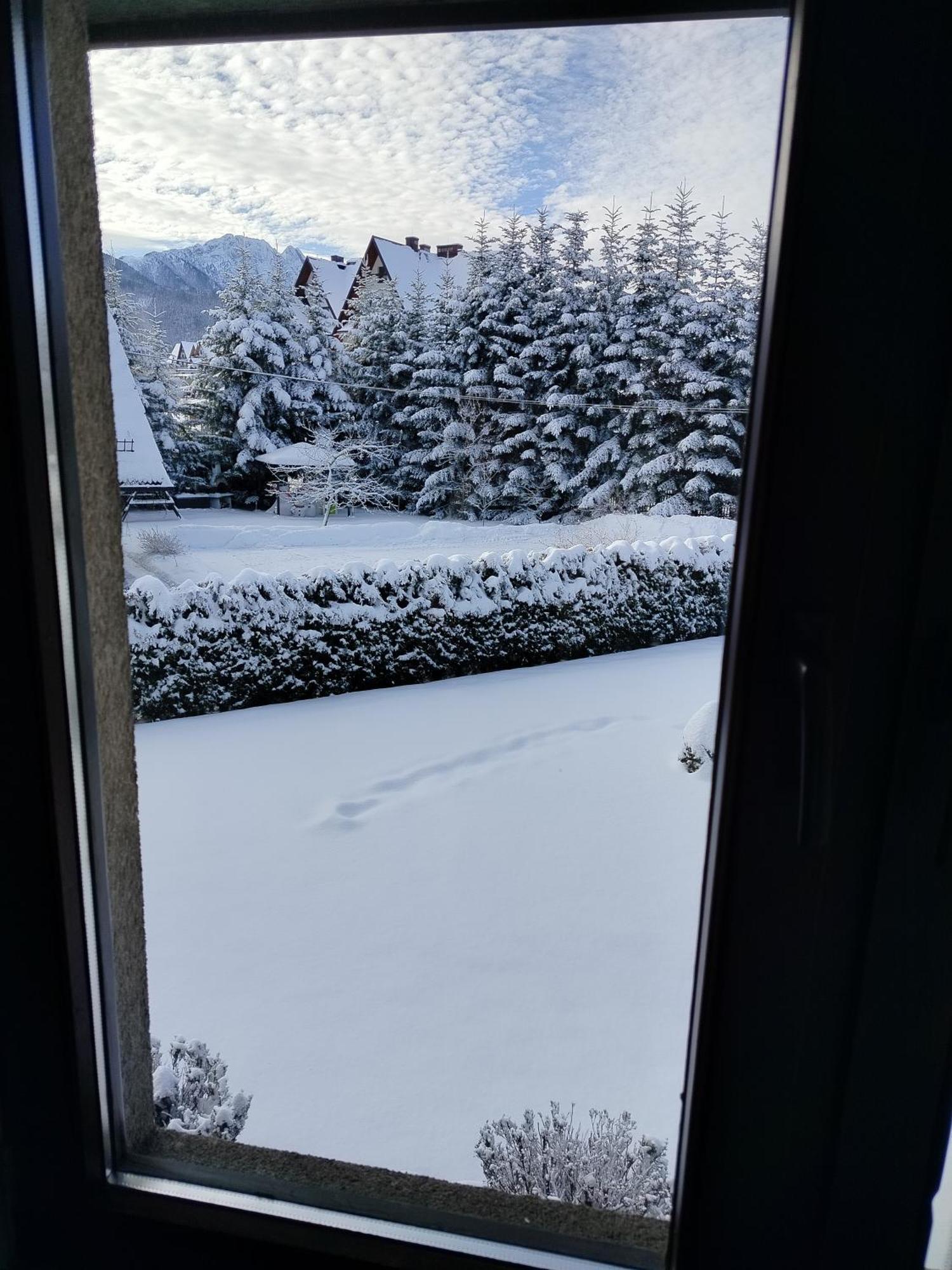Kazkowa Koliba Hotell Zakopane Rum bild